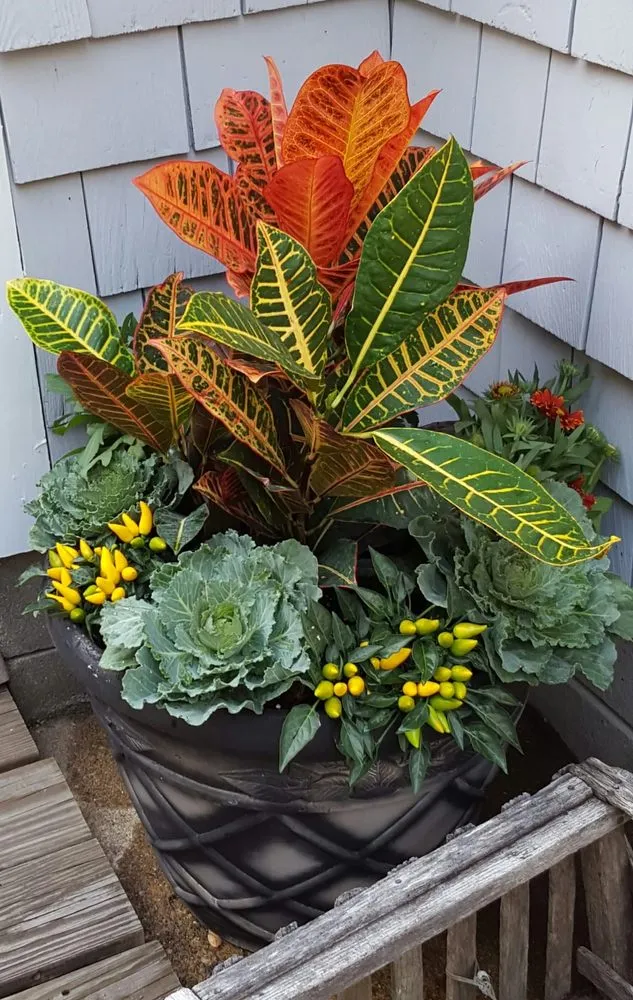 Expert lawn care service for residential properties across Concord, MA - Apple Tree Services