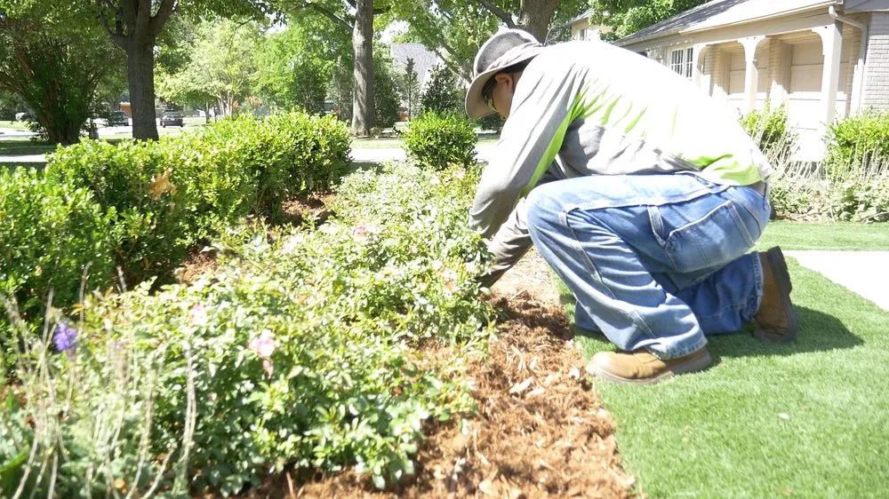Top-rated yard maintenance for homes in Oklahoma City, OK by Apple Valley Eco-Landscapes