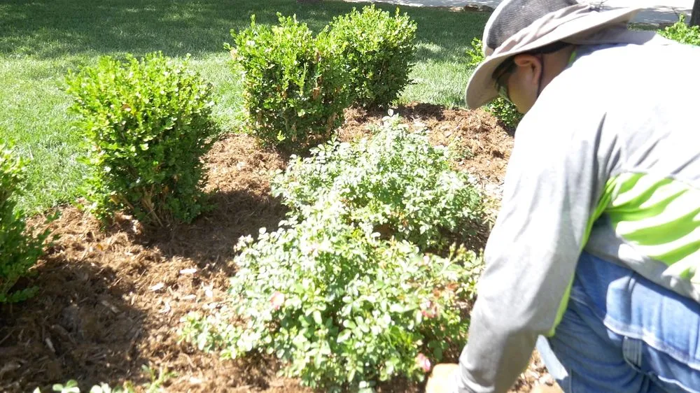 Top-rated landscape installation for beautiful yards across Oklahoma City, OK - Apple Valley Eco-Landscapes