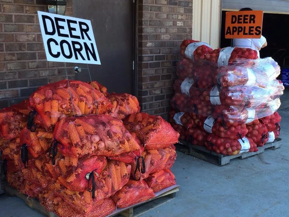 Affordable landscape installation with custom design across De Pere, WI - Apple Valley Landscaping