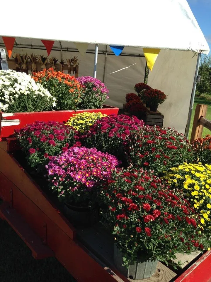 Custom landscaping services in De Pere, WI - Apple Valley Landscaping