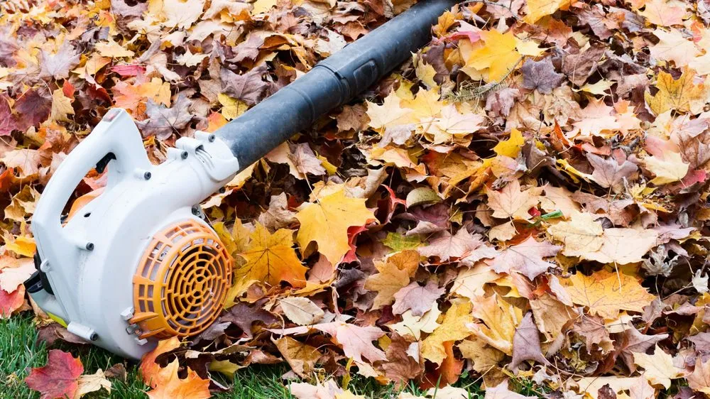 Top-rated landscaping services in Apple Valley, MN - Apple Valley Lawn Care