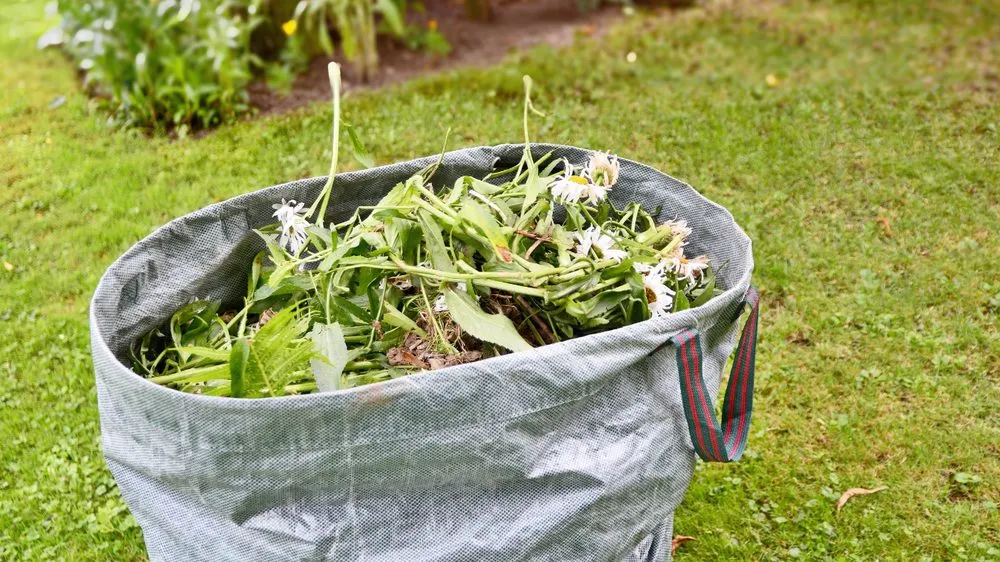 Custom landscape design for outdoor upgrades in Apple Valley, MN by Apple Valley Lawn Care