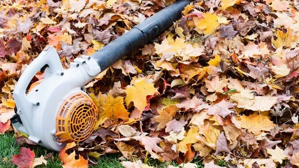 Apple Valley Lawn Care