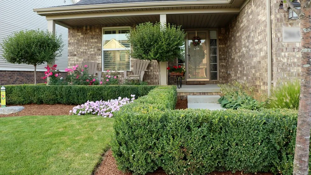 Affordable landscape design in Austin, TX - Applegate Landscaping
