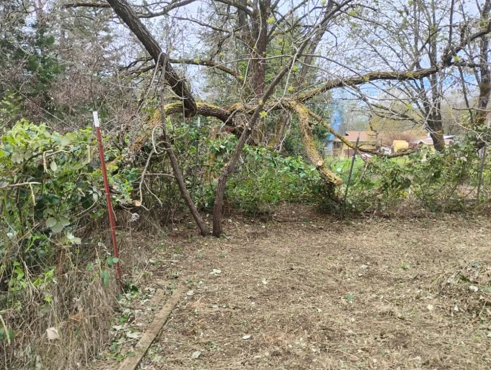 Expert lawn care service with custom design across Williams, OR - Applegate Lawn Services