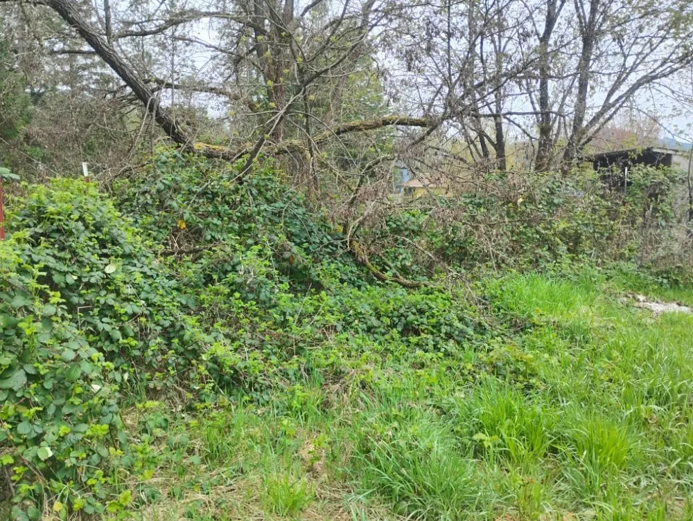 Reliable outdoor landscaping with custom design across Williams, OR - Applegate Lawn Services