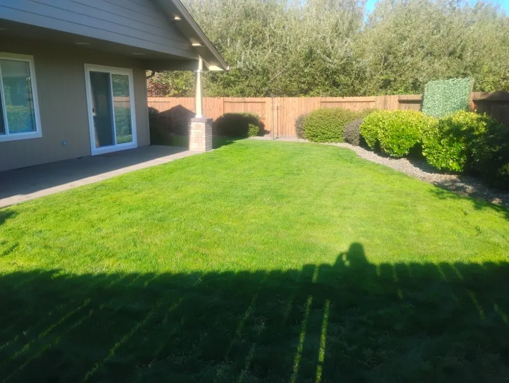 Professional residential landscaping with custom design across Williams, OR - Applegate Lawn Services