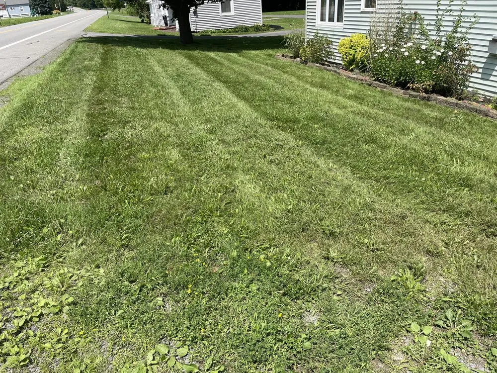 Top-rated yard cleanup service in West Winfield, NY - Appleridge Landscaping