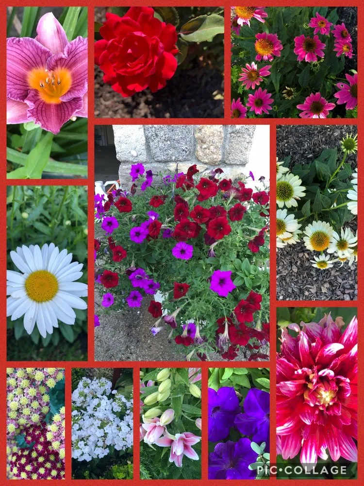 Professional outdoor landscaping experts serving Doylestown, PA - Appleton Lawncare & Landscape