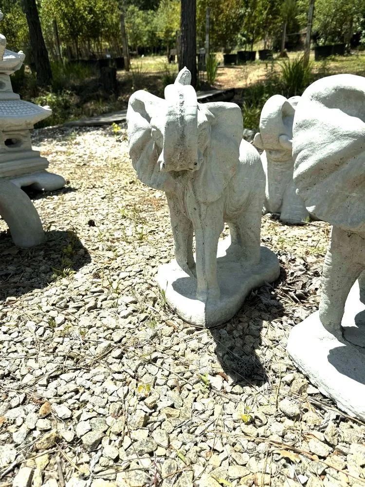 Custom landscape design experts serving Columbia, SC - Appletree Landscaping & Garden Center