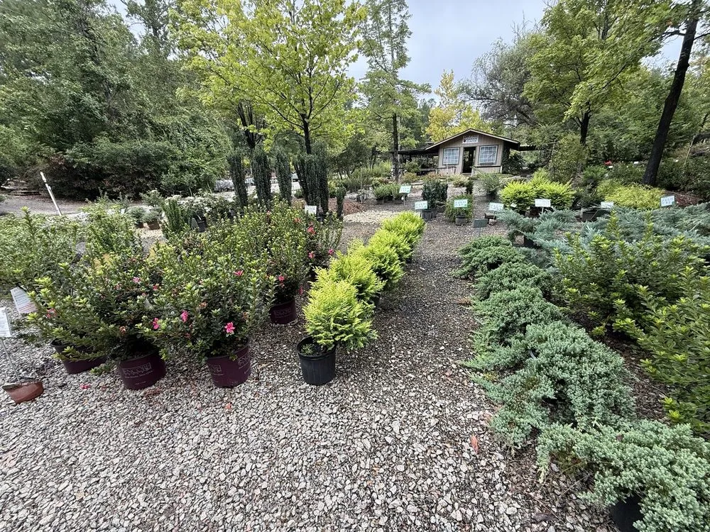 Local lawn mowing service for outdoor upgrades in Columbia, SC by Appletree Landscaping & Garden Center