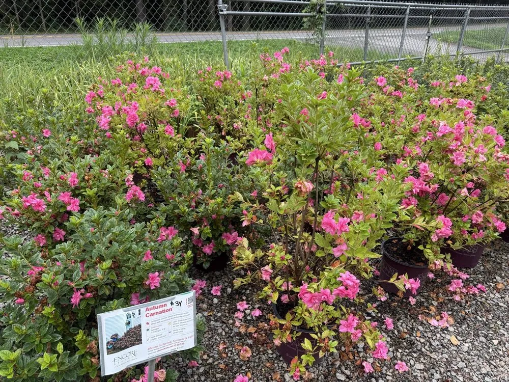 Expert yard maintenance experts serving Columbia, SC - Appletree Landscaping & Garden Center