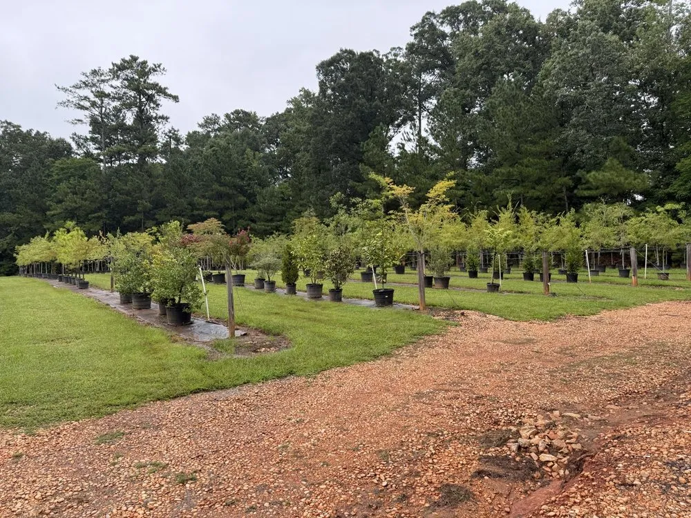 Trusted lawn mowing service in Columbia, SC by Appletree Landscaping & Garden Center