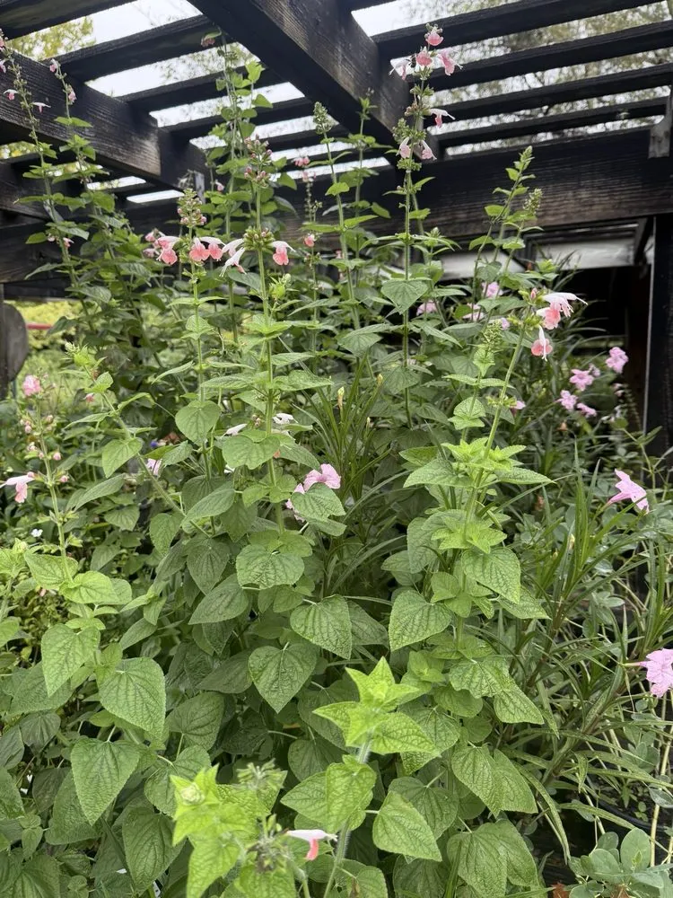 Reliable garden landscaping with custom design in Columbia, SC by Appletree Landscaping & Garden Center