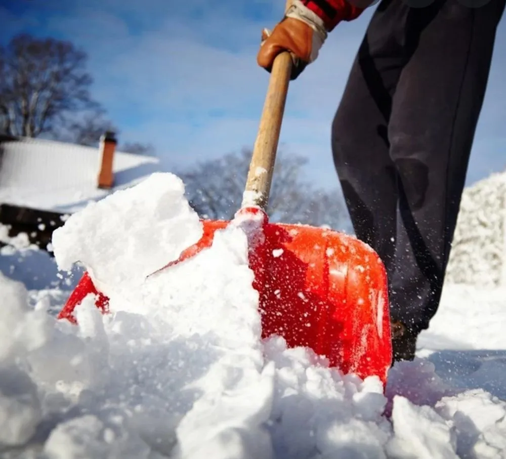 Trusted yard cleanup service for beautiful yards across Ross, OH - AppleTree Property Investments