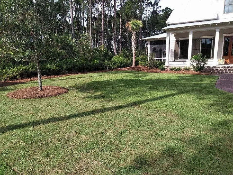 Top-rated lawn mowing service in Bluffton, SC - Applewood Landscapes Construction