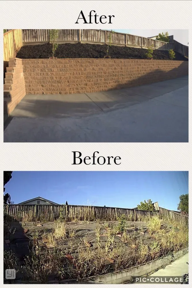 Professional residential landscaping in Hesperia, CA - Applewood Landscaping