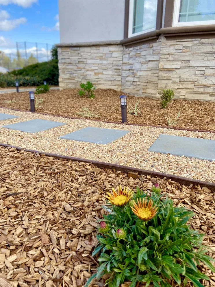 Professional yard cleanup service experts serving San Jose, CA - Applewood Landscaping