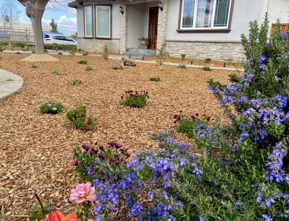 Affordable landscape design for outdoor upgrades in San Jose, CA by Applewood Landscaping