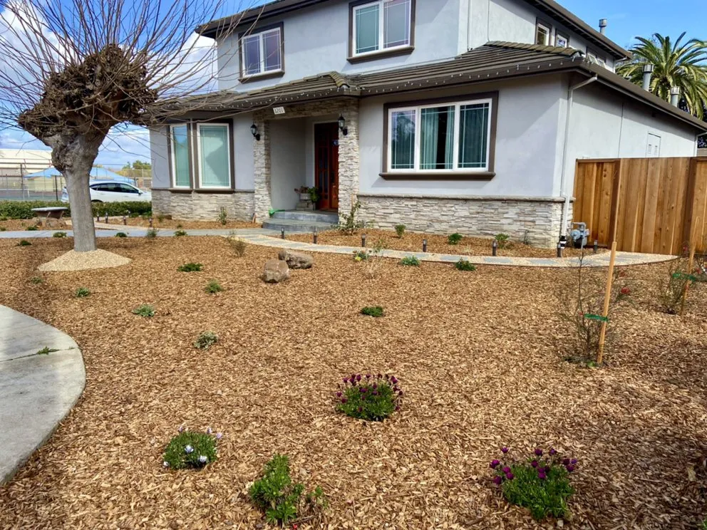 Trusted yard cleanup service experts serving San Jose, CA - Applewood Landscaping