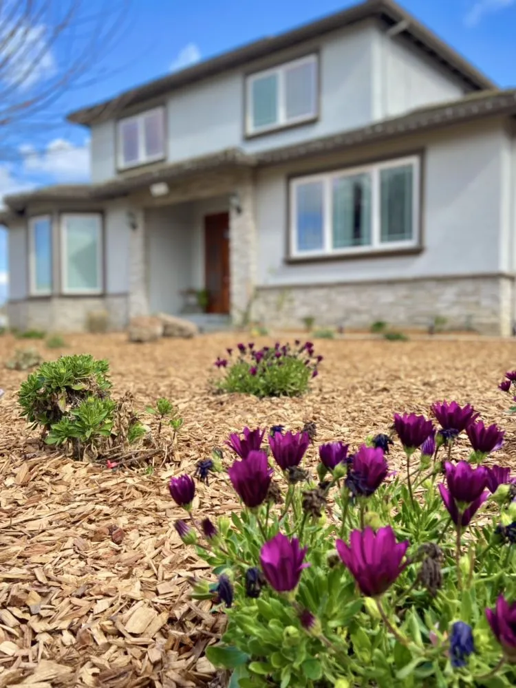 Trusted yard cleanup service in San Jose, CA - Applewood Landscaping