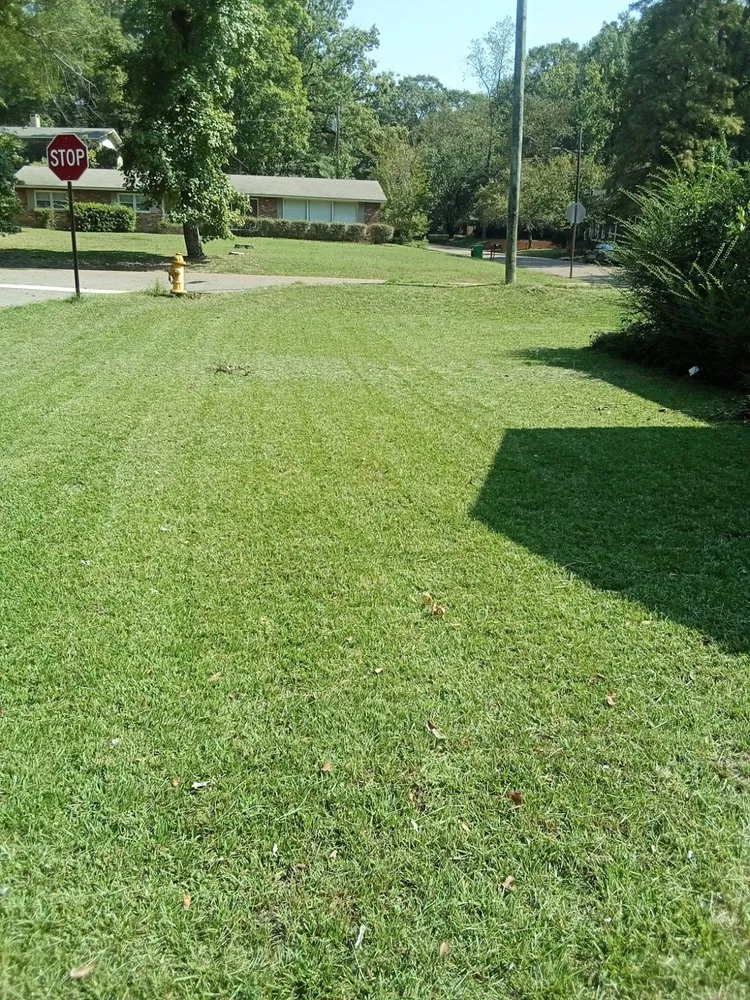 Local landscaping services experts serving Shannon, MS - Applied Pressure Property Preservation