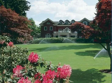 Expert outdoor landscaping in Cypress, TX by Applied Sprinkler Solutions