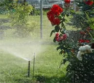 Top-rated landscaping services in Cypress, TX by Applied Sprinkler Solutions