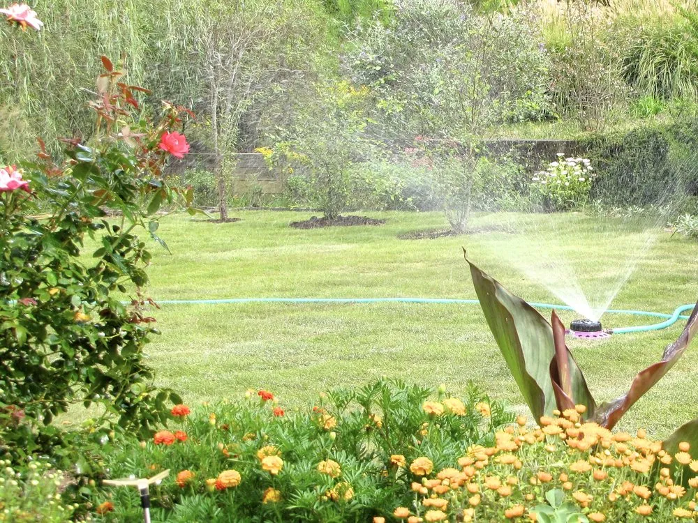 Affordable landscaping services in Midlothian, VA - Appomattox River Landscapes