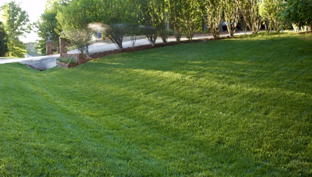 Trusted lawn mowing service for residential properties across Midlothian, VA - Appomattox River Landscapes