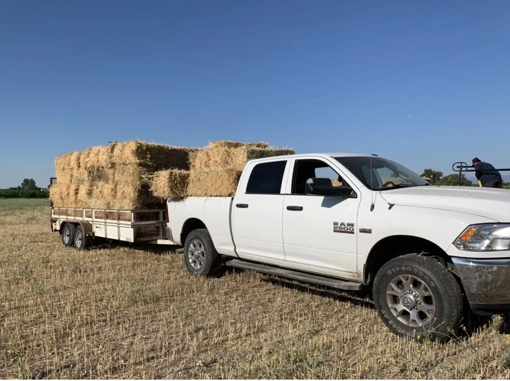 Trusted garden landscaping experts serving Corning, CA - APR Handyman Service