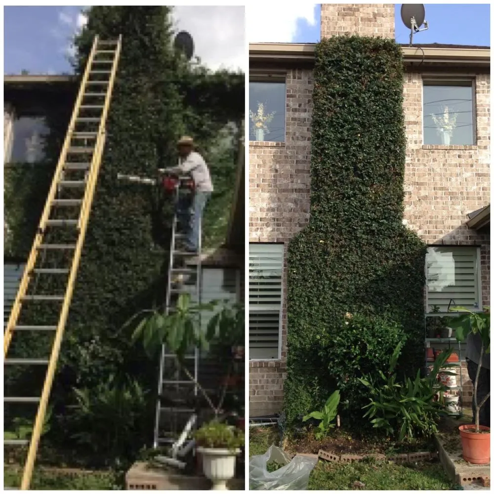 Top-rated outdoor landscaping for outdoor upgrades across Houston, TX - APR Services