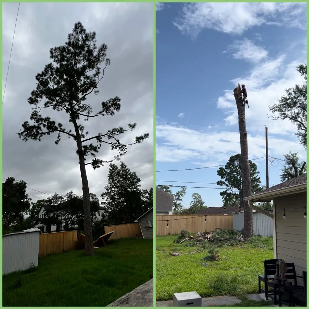 Affordable garden landscaping for beautiful yards across Houston, TX - APR Services