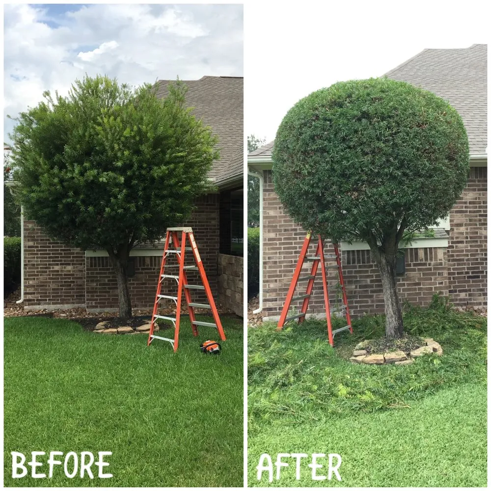 Expert lawn mowing service in Houston, TX by APR Services