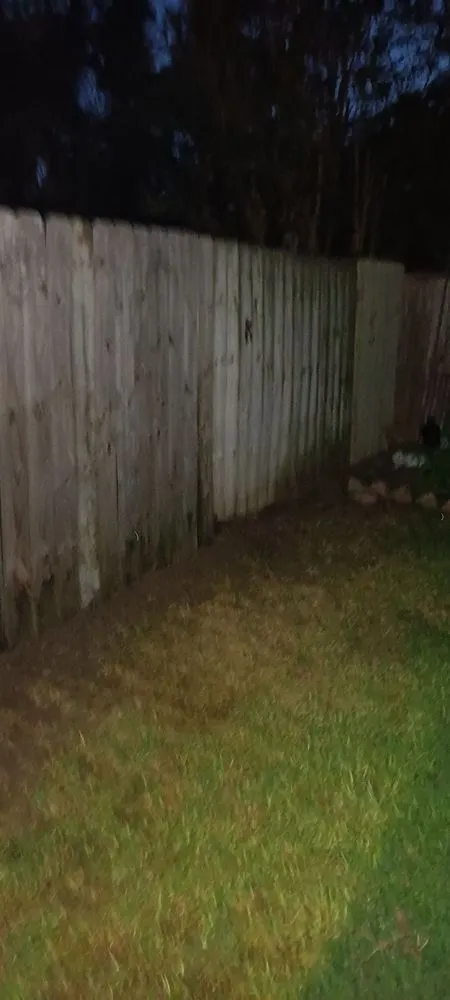 Local yard maintenance for year-round maintenance in Houston, TX by APR Services