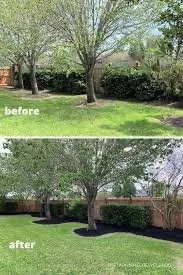 Trusted landscaping services for year-round maintenance in Lawrenceville, GA by Aprb Enterprise