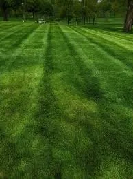 Local lawn care service in Lawrenceville, GA by Aprb Enterprise