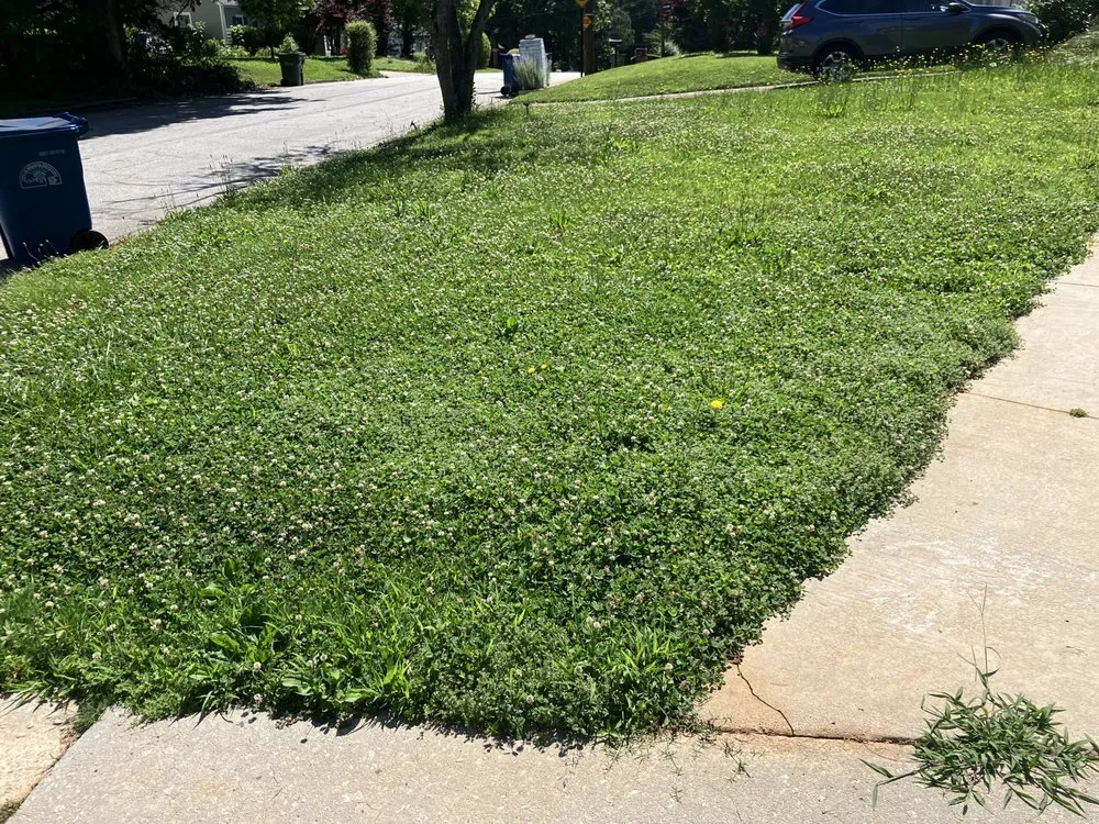 Local lawn care service with custom design across Lawrenceville, GA - Aprb Enterprise