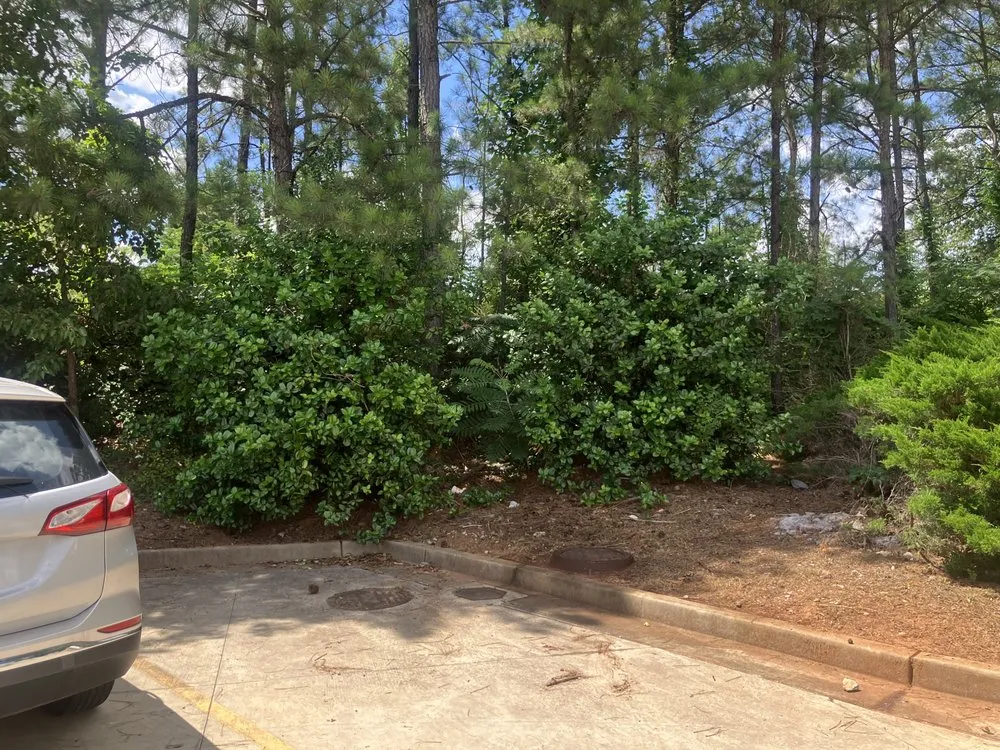 Custom landscape design near you across Lawrenceville, GA - Aprb Enterprise