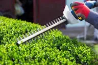 Reliable yard cleanup service for residential properties across Lawrenceville, GA - Aprb Enterprise