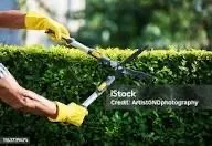 Expert outdoor landscaping for beautiful yards in Lawrenceville, GA by Aprb Enterprise