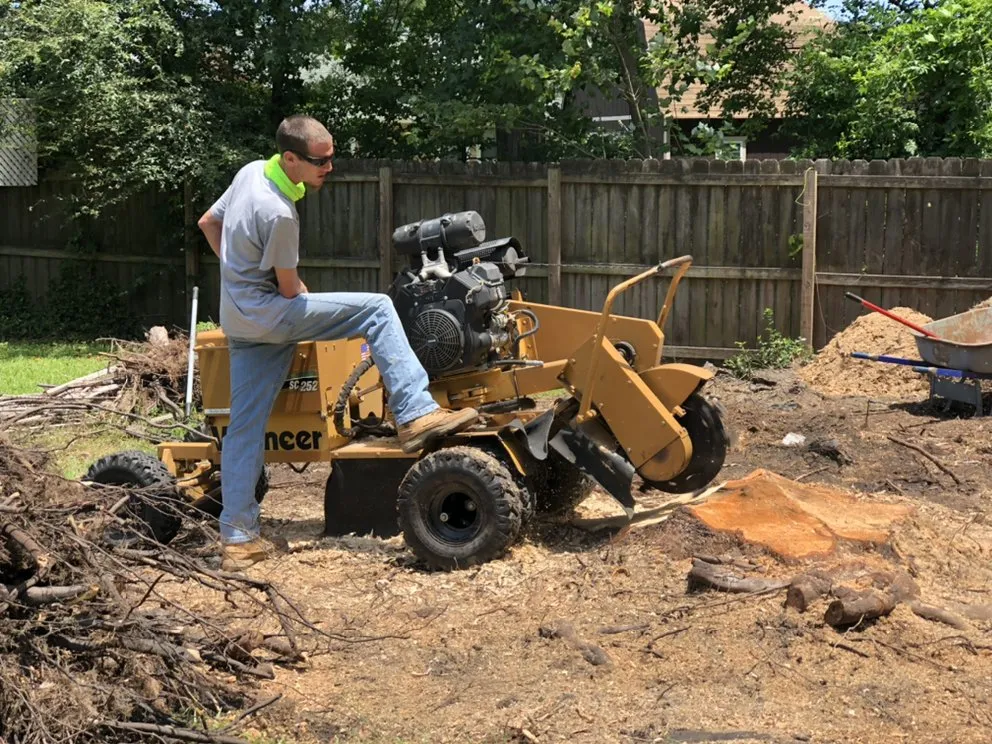 Local landscaping services for outdoor upgrades in Summerville, SC by A+Precision Lawn Care And Stump Removal