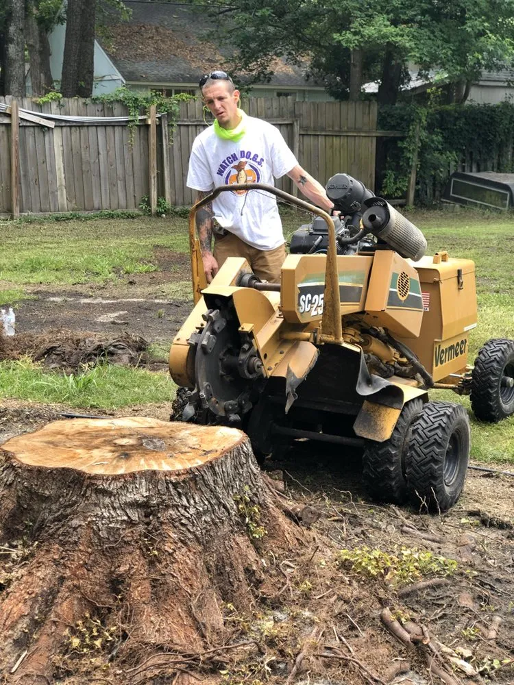 Affordable garden landscaping experts serving Summerville, SC - A+Precision Lawn Care And Stump Removal