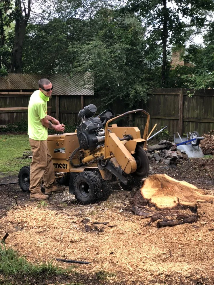 Reliable landscape design for outdoor upgrades across Summerville, SC - A+Precision Lawn Care And Stump Removal