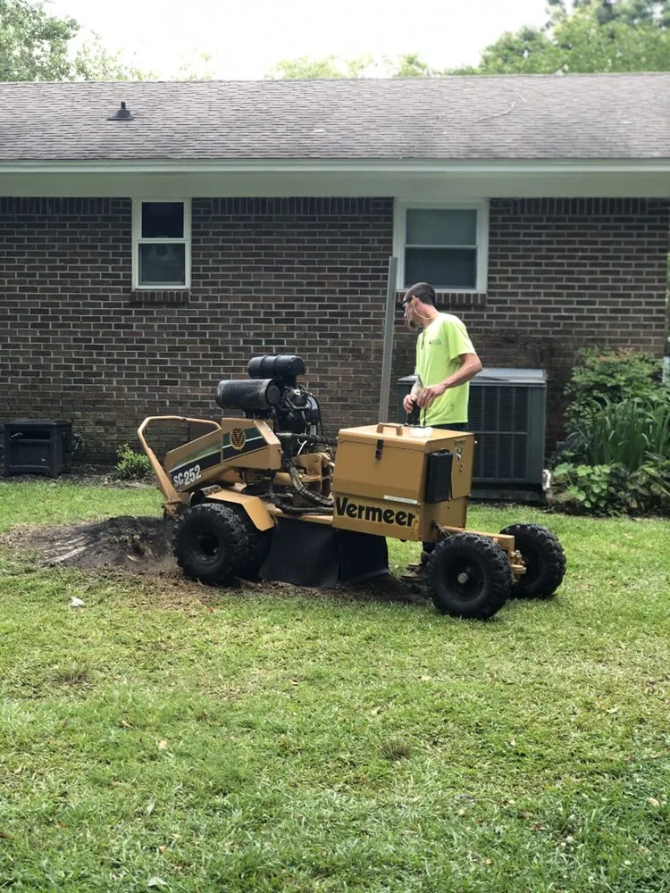 Trusted landscape installation in Summerville, SC by A+Precision Lawn Care And Stump Removal