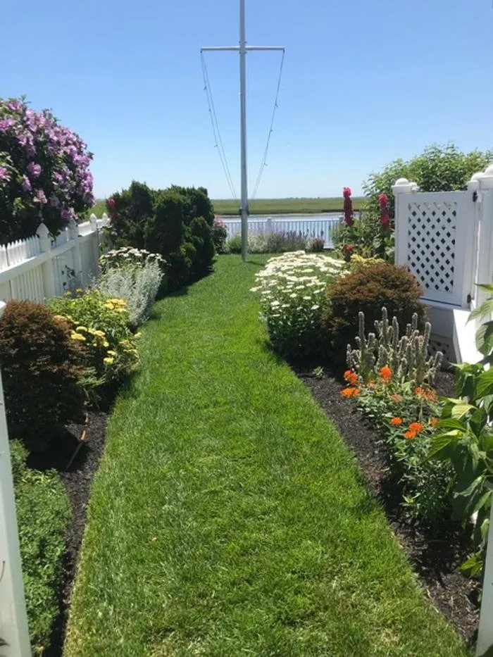 Expert yard cleanup service for year-round maintenance in Cape May Court House, NJ by Aprill Landscaping