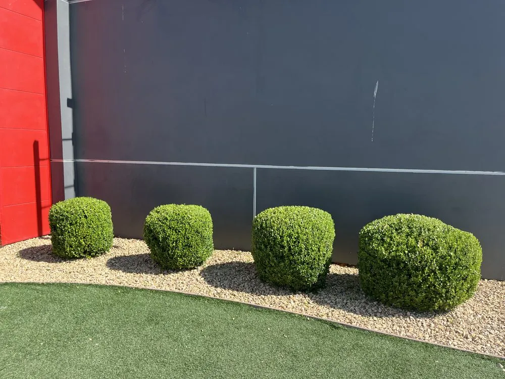 Affordable garden landscaping in Hesperia, CA by April’s Garden