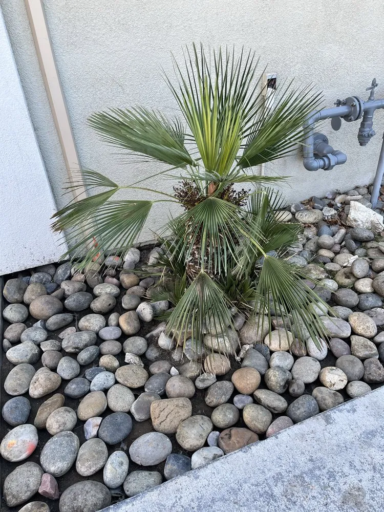 Affordable outdoor landscaping in Hesperia, CA - April’s Garden