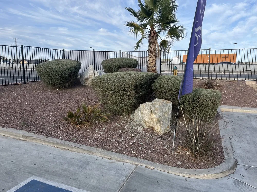 Trusted landscaping services experts serving Hesperia, CA - April’s Garden